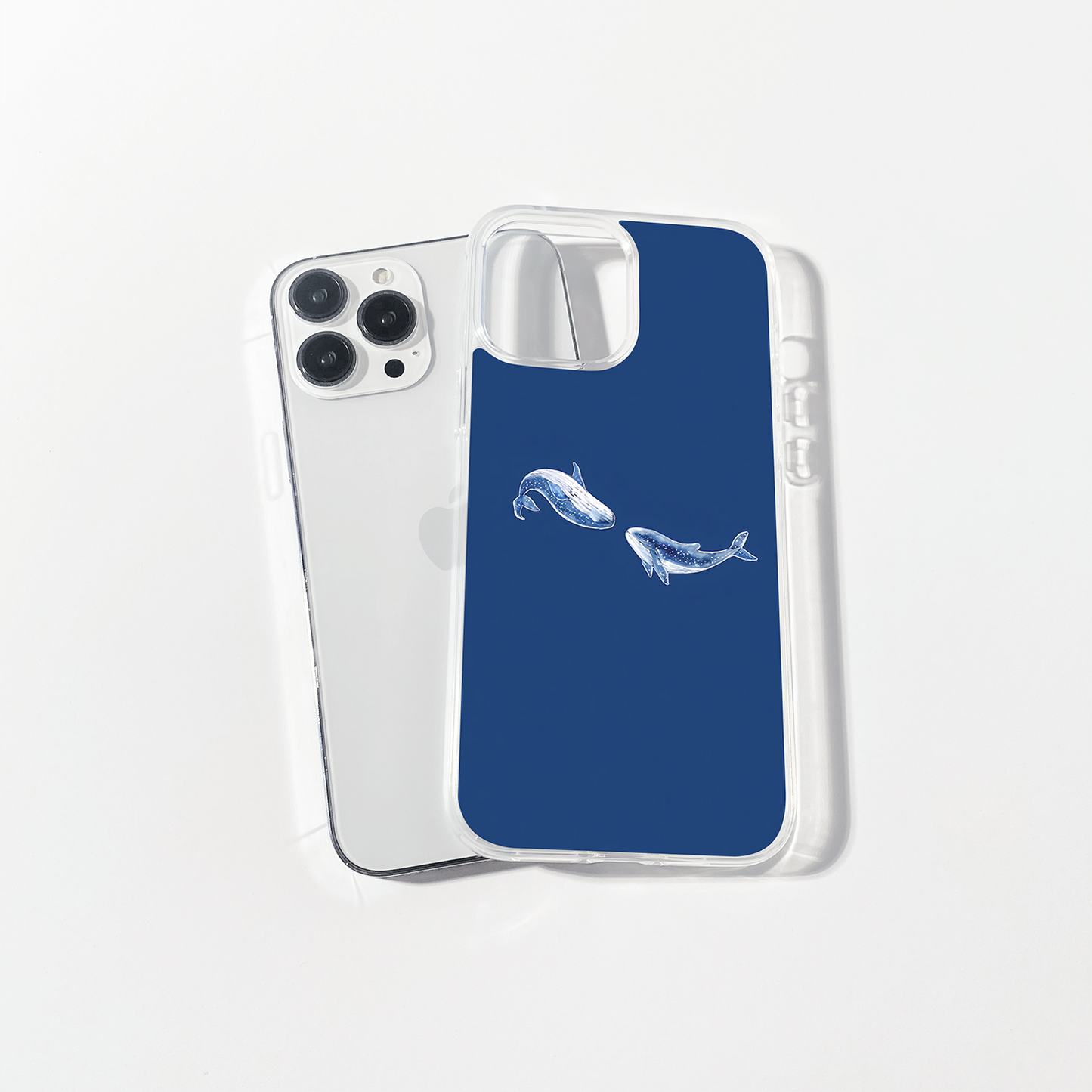 Ocean Whales